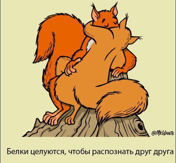 Прикольные рисунки целовашки