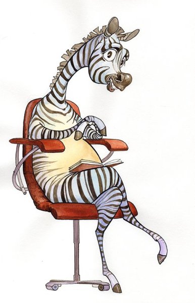 Зебра сидит