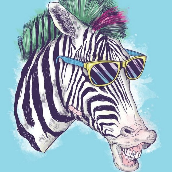 Крутая Зебра арт