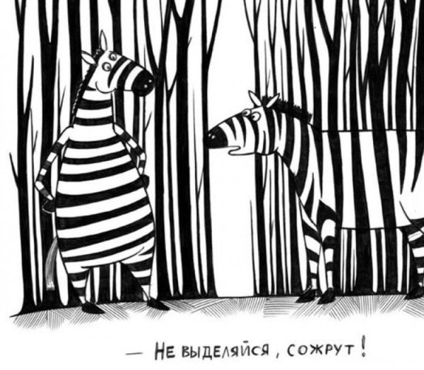 Черно белая полоса в жизни