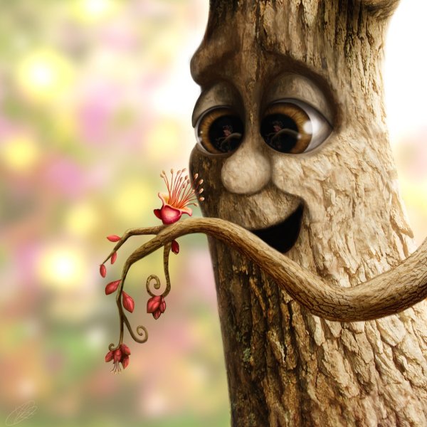 Живое дерево