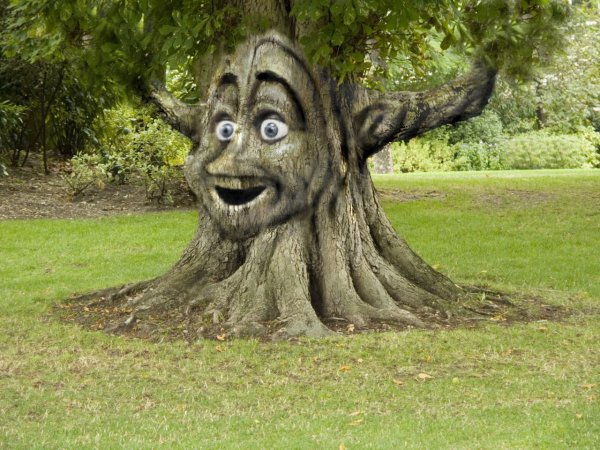 Говорящее дерево