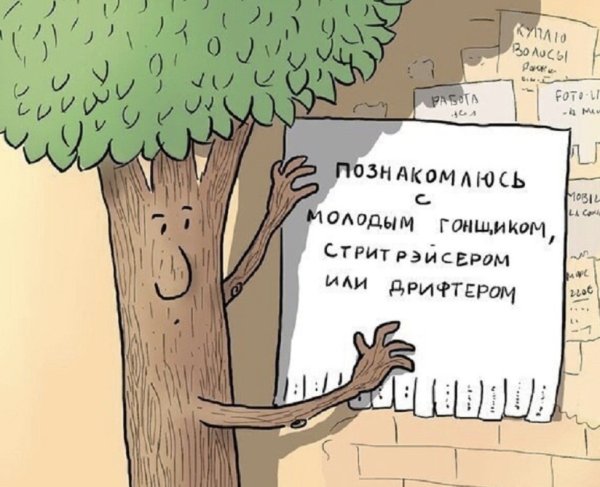 Анекдот про дерево