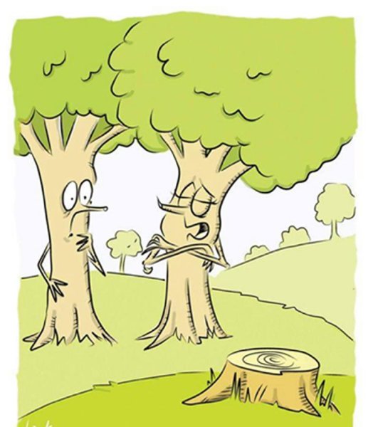 Посадка деревьев карикатура