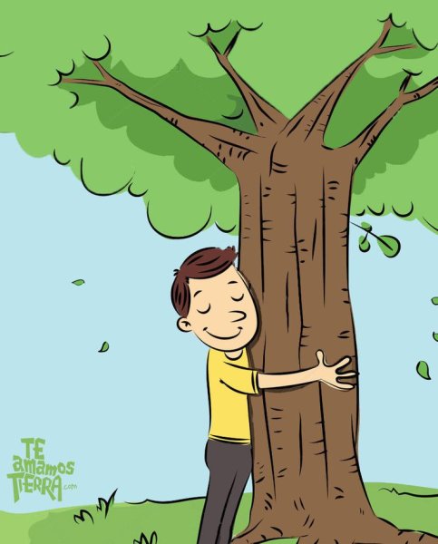 Сказочное дерево раскраска