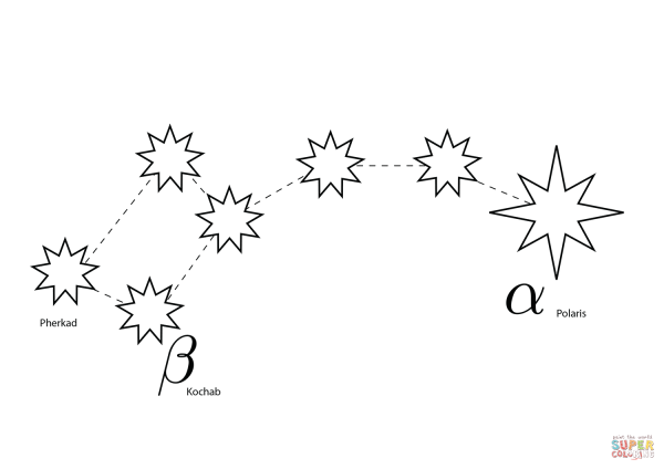 Раскраска большая Медведица Созвездие для детей
