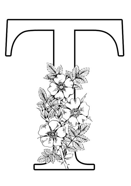 Буквы для распечатки