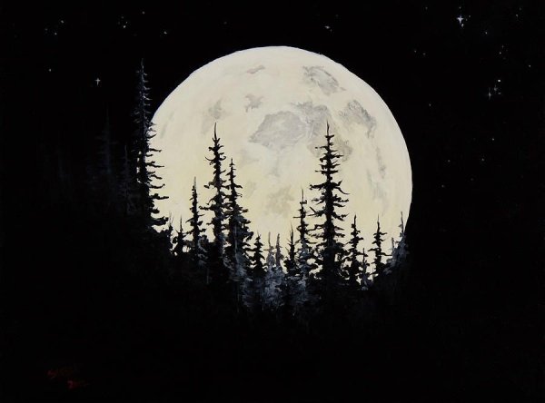 Черный лес с луной