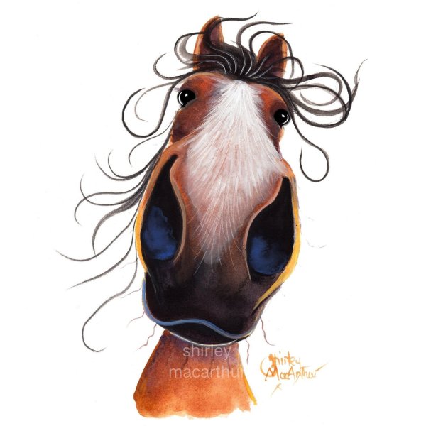 Смешные лошади