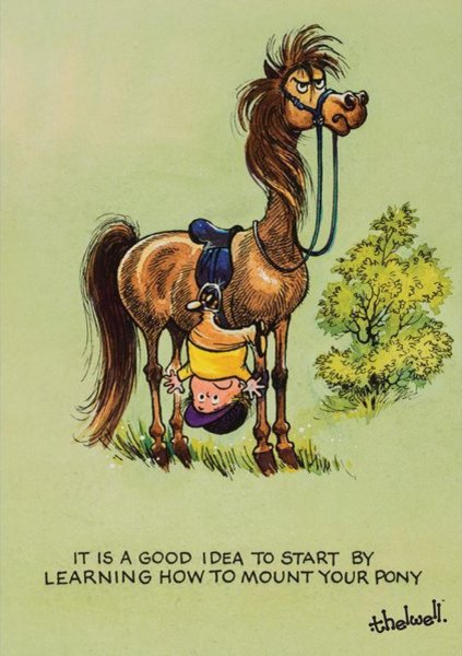 Открытки с лошадьми прикольные