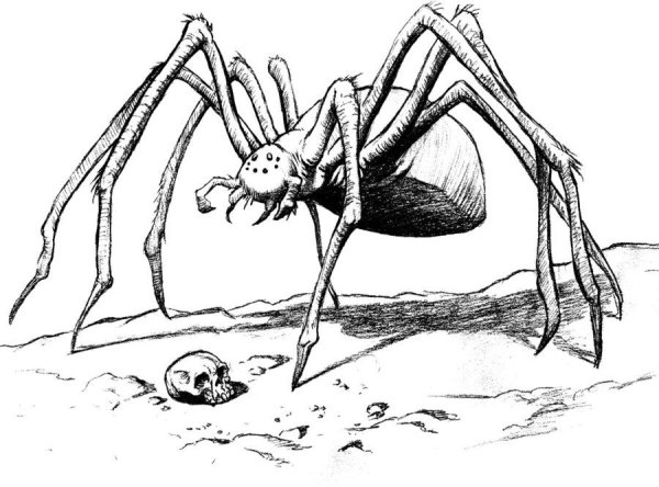 Паук Бестиарий