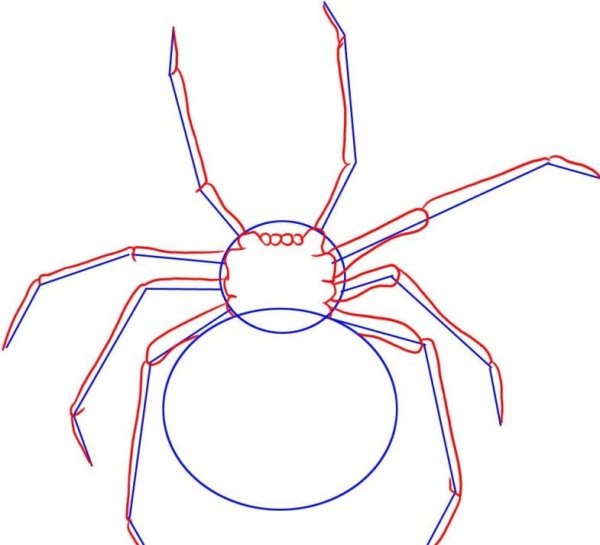 Паук карандашом