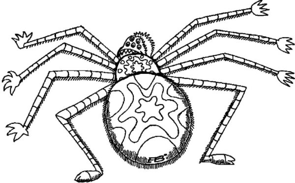 Паук крестовик рисунок