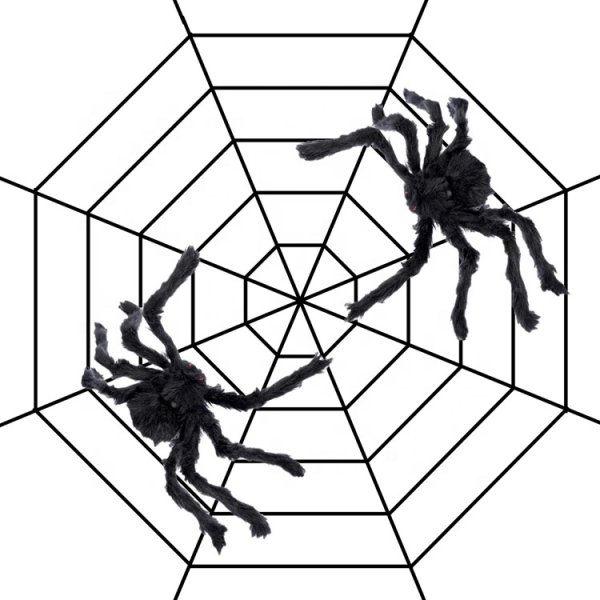 Пауки гиганты