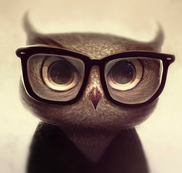 Милая Сова в очках