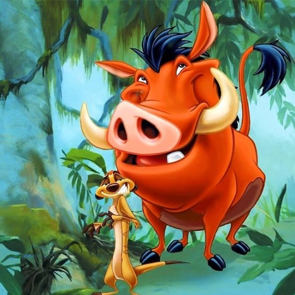 Акуна Матата Тимон и Пумба