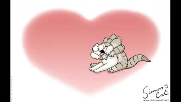 Никогда никуда не отпущу тебя