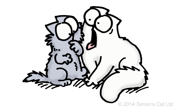 Саймонс Кэт и кошка