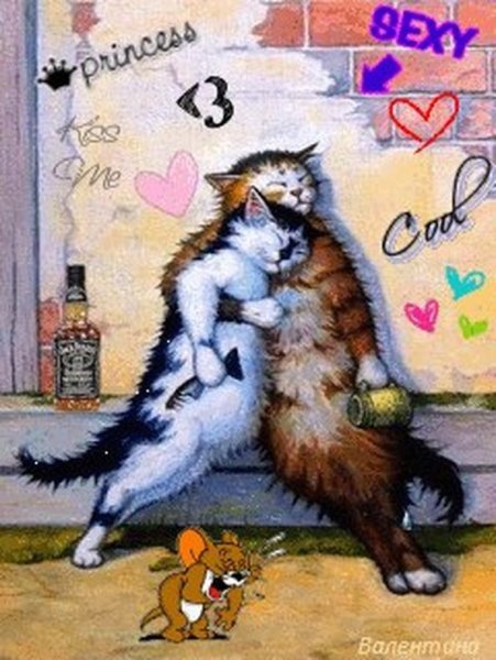 День объятий с котами