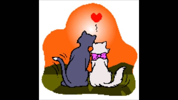 Влюбленные котики анимация