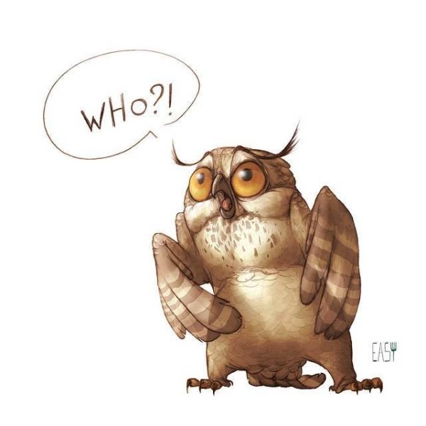 Смешные Совы с надписями