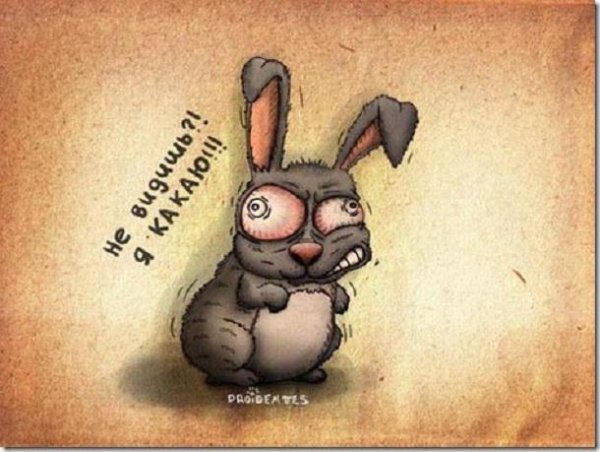 Злость смешные картинки