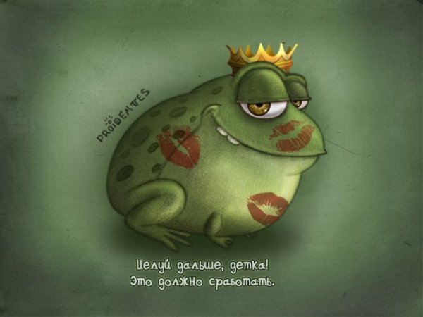 Лягушка юмор