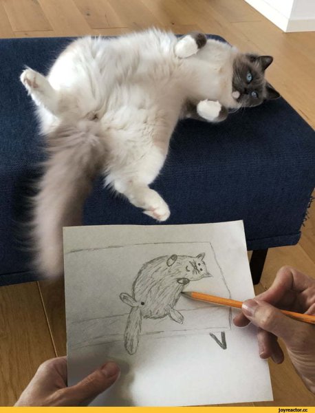 Смешной художник