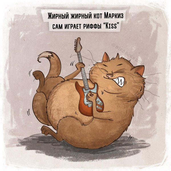 Юмор про котиков