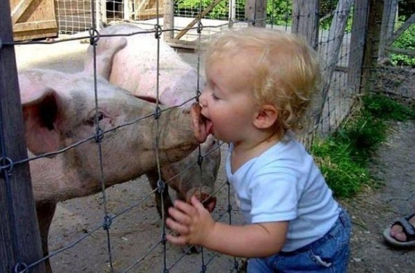 Очень смешно до слёз