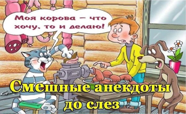 Анекдоты смешные до слёз
