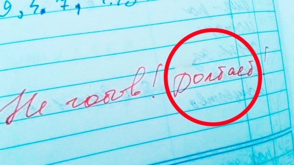 Смешные замечания в дневнике