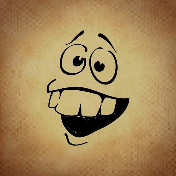 Смешные мордочки