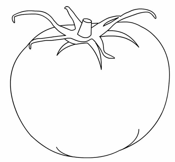Помидор трафарет для рисования