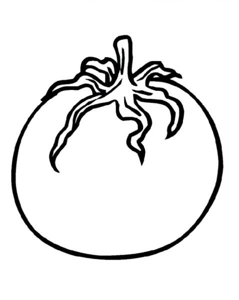 Помидор раскраска для детей