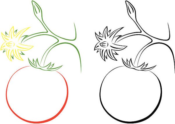 Помидор на ветке раскраска