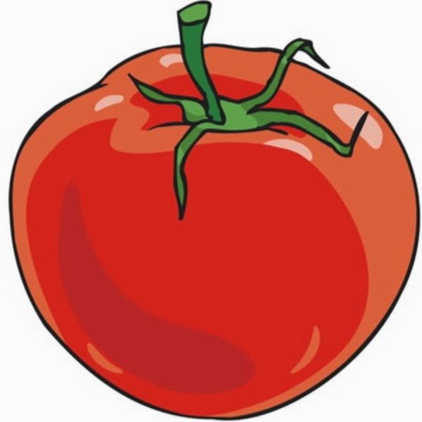 Помидор рисунок для детей