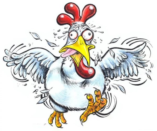 Курица карикатура