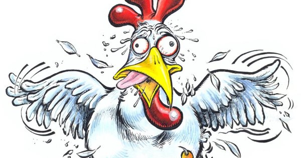 Чокнутый петух