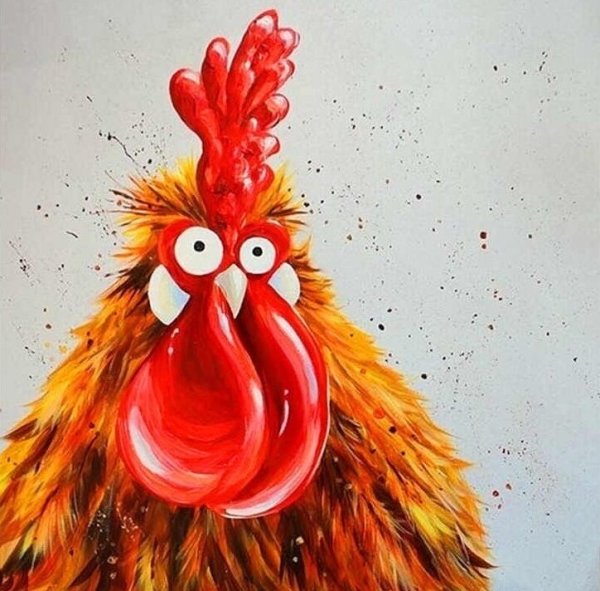 Ким Хаскинс куры