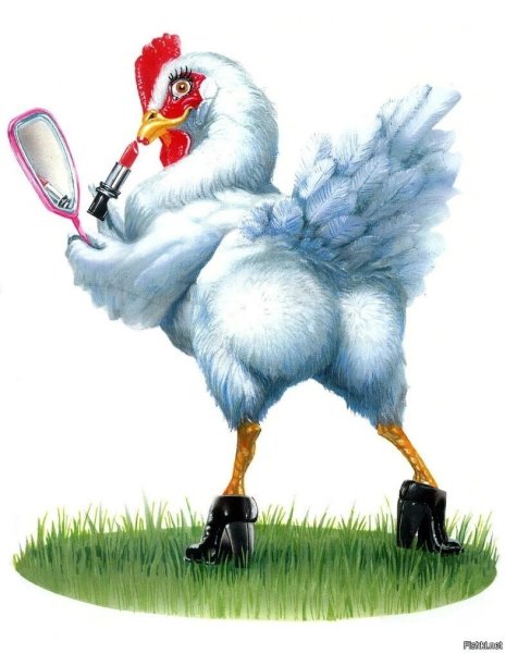 Прикольная курица