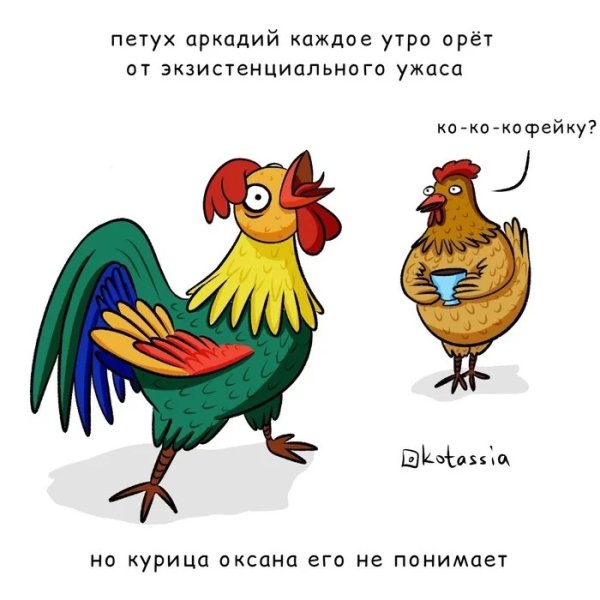 Шутки про петухов