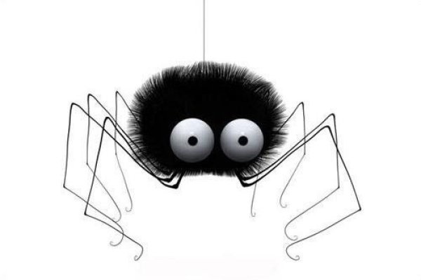 Смешной паучок