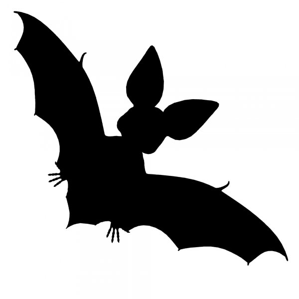 Black bat (чёрная летучая мышь)