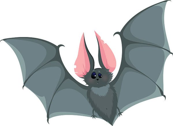 Летучая мышь Сказочная