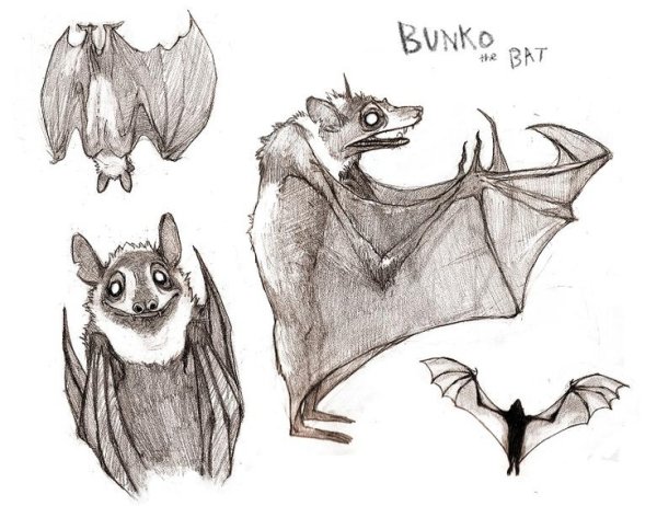 Летучая мышь референс