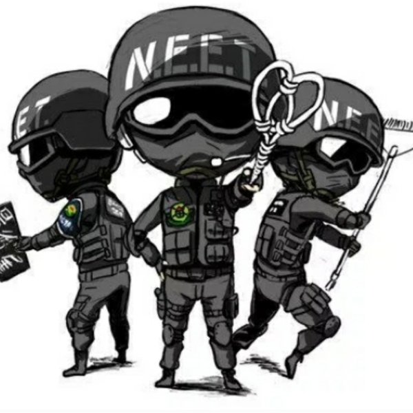 NEET спецназ арт