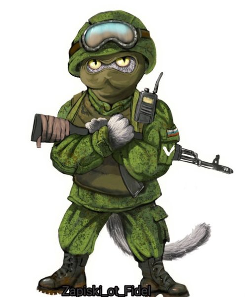 Кот спецназ