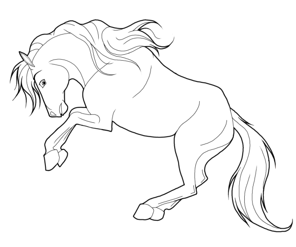 Раскраска. Лошади