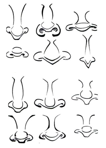 Нос трафарет для рисования